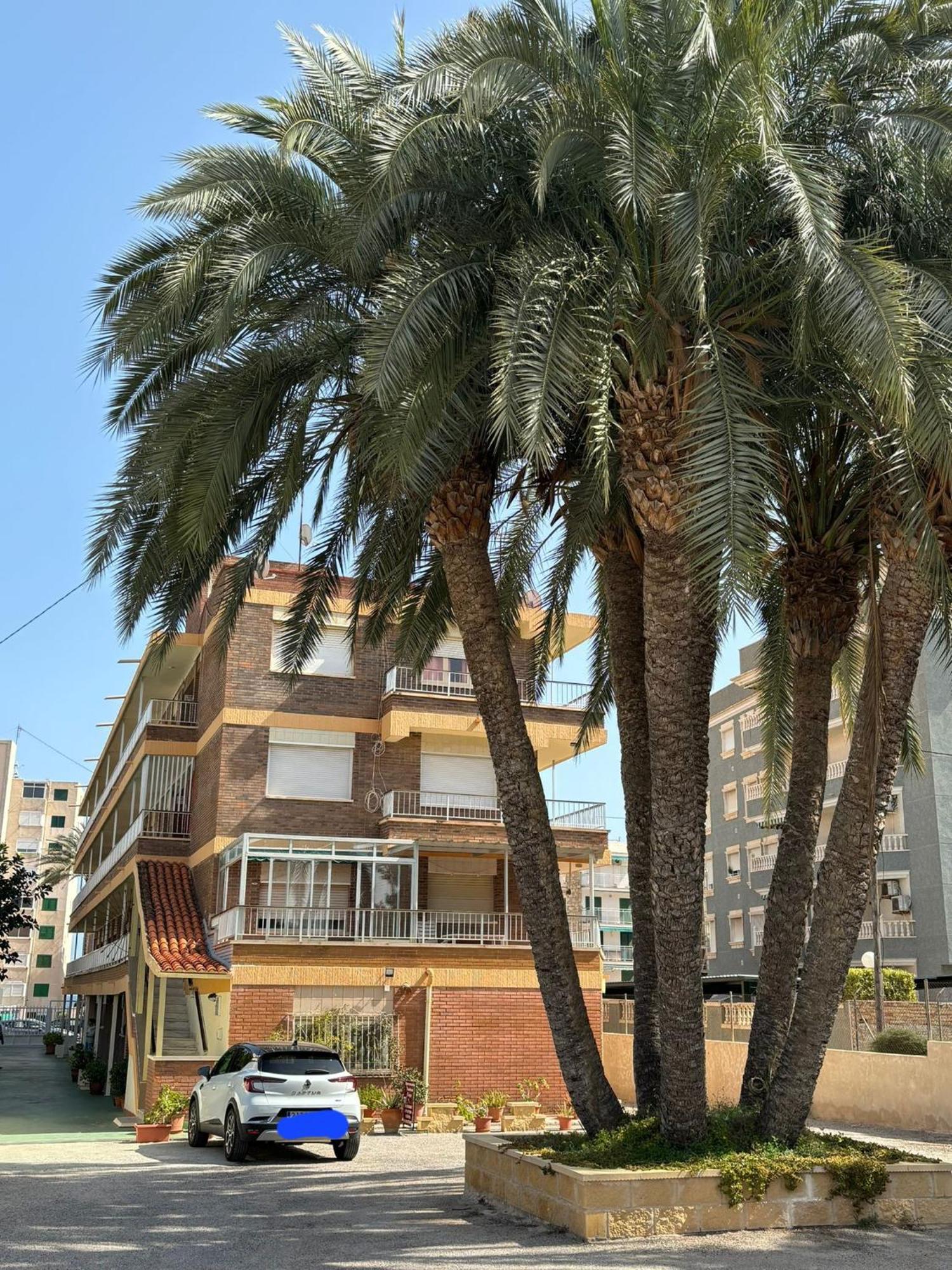 Apartamentos Congo El Campello Ngoại thất bức ảnh